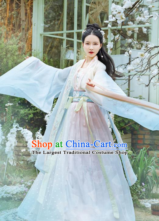 Chinese Traditional Tang Dynasty Hanfu Dress Ancient Noble Lady Apparels Historical Costumes for Women