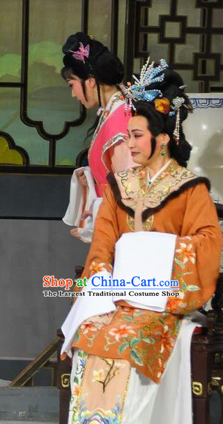 Chinese Shaoxing Opera Dream of the Red Chamber Elderly Female Dress Yue Opera Actress Costumes Dame Wang Garment Apparels and Hair Ornaments