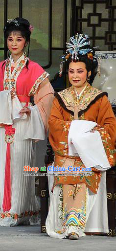 Chinese Shaoxing Opera Dream of the Red Chamber Elderly Female Dress Yue Opera Actress Costumes Dame Wang Garment Apparels and Hair Ornaments