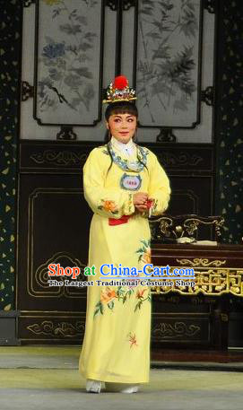 Chinese Classical Shaoxing Opera Young Male Garment Apparels Dream of the Red Chamber Costumes Yue Opera Scholar Jia Baoyu Yellow Robe and Hair Accessories