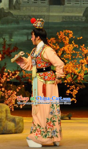 Chinese Classical Shaoxing Opera Noble Childe Garment Dream of the Red Chamber Costumes Yue Opera Young Male Jia Baoyu Apparels and Hair Ornaments