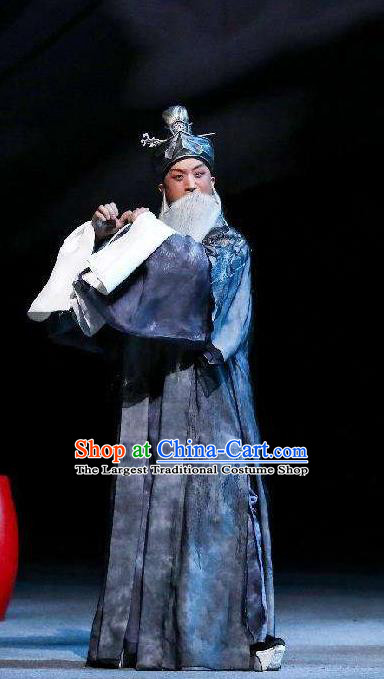 Xin Ting Lei Chinese Ping Opera Laosheng Costumes and Headwear Pingju Opera Prime Minister Wang Dao Apparels Old Man Clothing