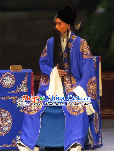 Zhen Zhu Shan Chinese Ping Opera Laosheng Costumes and Headwear Pingju Opera Apparels Landlord Elderly Male Clothing