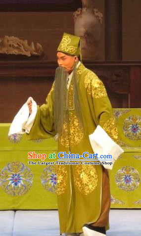 Zhen Zhu Shan Chinese Ping Opera Old Man Costumes and Headwear Pingju Opera Laosheng Apparels Elderly Male Clothing