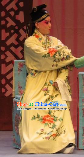 Zhen Zhu Shan Chinese Ping Opera Scholar Chen Dalang Costumes and Headwear Pingju Opera Xiaosheng Apparels Young Male Clothing