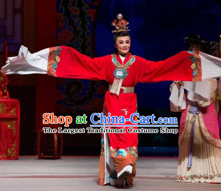 Chinese Shaoxing Opera Xiao Sheng Apparels Dream of the Red Chamber Garment Costumes Yue Opera Young Male Jia Baoyu Red Robe and Headpieces