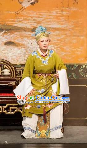 Dream of the Red Chamber Chinese Shaoxing Opera Elderly Female Dress Apparels Yue Opera Costumes Dowager Countess Jia Garment and Headpieces