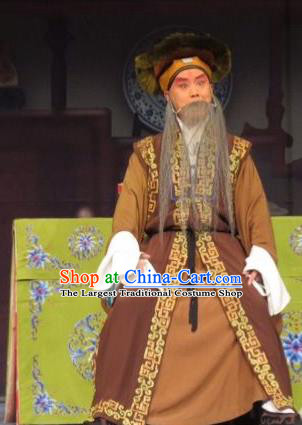 Dream of Red Mansions Chinese Ping Opera Elderly Man Costumes and Headwear Yu Gong Case Pingju Opera Laosheng Apparels Clothing