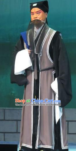 Bao Gong San Kan Butterfly Dream Chinese Ping Opera Old Man Costumes and Headwear Pingju Opera Laosheng Apparels Clothing