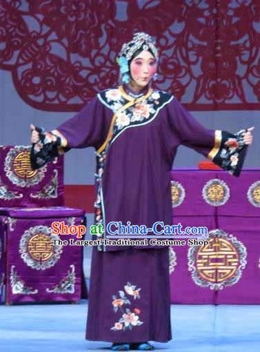 Chinese Ping Opera Ugly Female Garment Costumes and Headdress Jie Nv Qiao Pei Traditional Pingju Opera Rich Lady Wang Meirong Dress Apparels