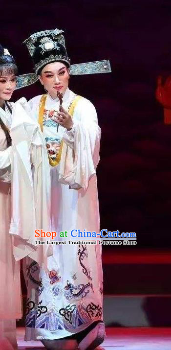 Chinese Yue Opera Young Male Scholar Apparels The Story of Hairpin Wang Shipeng Garment Shaoxing Opera Niche Costumes and Hat