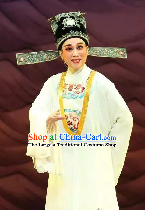 Chinese Yue Opera Young Male Scholar Apparels The Story of Hairpin Wang Shipeng Garment Shaoxing Opera Niche Costumes and Hat
