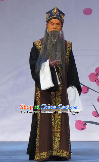 Xue Yu Bing Shuang Chinese Ping Opera Laosheng Costumes and Headwear Pingju Opera Elderly Male Landlord Apparels Clothing