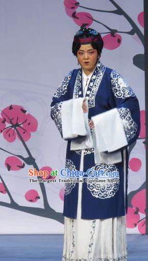 Chinese Ping Opera Elderly Dame Costumes and Headpieces Xue Yu Bing Shuang Traditional Pingju Opera Dress Pantaloon Garment Apparels