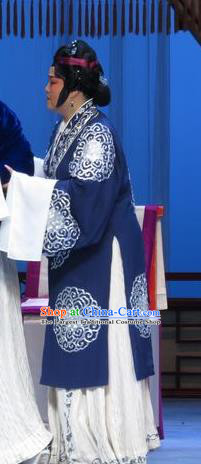 Chinese Ping Opera Elderly Dame Costumes and Headpieces Xue Yu Bing Shuang Traditional Pingju Opera Dress Pantaloon Garment Apparels
