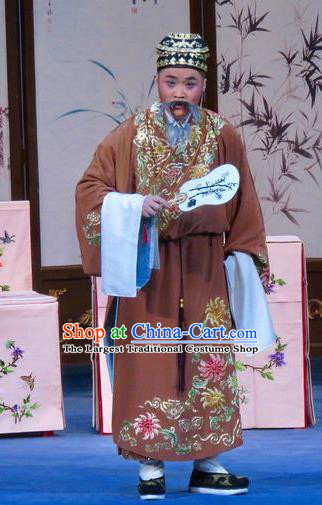 Flower a Matchmaker Chinese Ping Opera Laosheng Costumes Pingju Opera Elderly Male Li Maolin Apparels Clothing and Hat