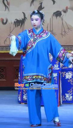 Chinese Ping Opera Flower a Matchmaker Costumes and Headdress Traditional Pingju Opera Female Role Dress Garment Apparels