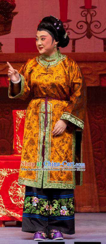 Chinese Ping Opera Fei Jie Elderly Female Apparels Costumes and Headpieces Traditional Pingju Opera Laodan Dress Pantaloon Garment