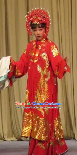 Chinese Ping Opera Bride Fei Jie Young Female Apparels Costumes and Headpieces Traditional Pingju Opera Hua Tan Red Dress Garment
