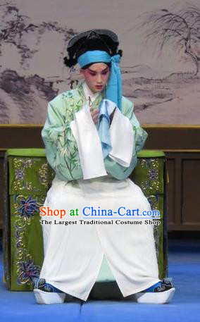 Flower a Matchmaker Chinese Ping Opera Xiaosheng Wang Junqing Costumes and Headwear Pingju Opera Niche Young Male Apparels Clothing