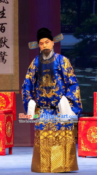 Nao Yan Fu Chinese Ping Opera Elderly Male Costumes and Headwear Pingju Opera Laosheng Apparels Official Clothing