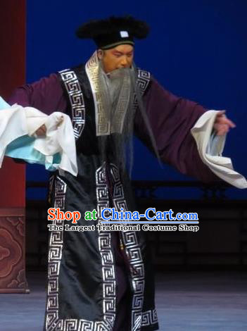 Yuan Yang Pu Chinese Ping Opera Landlord Costumes and Headwear Pingju Opera Laosheng Apparels Old Man Clothing