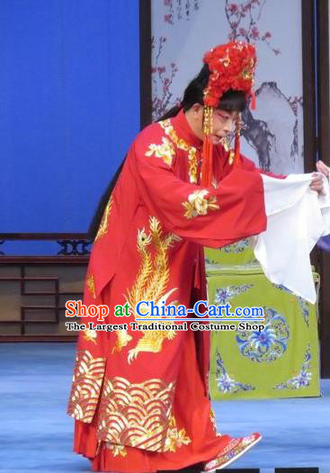 Chinese Ping Opera Bride Apparels Costumes and Headdress Yuan Yang Pu Traditional Pingju Opera Sun Run Red Dress Garment