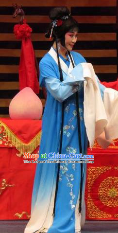 Chinese Ping Opera Huadan Apparels Costumes and Headpieces The Five Female Worshipers Traditional Pingju Opera Actress Yang Sanchun Blue Dress Garment