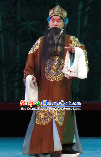 The Five Female Worshipers Chinese Ping Opera Minister Costumes and Headwear Pingju Opera Laosheng Apparels Elderly Male Clothing
