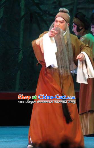 The Five Female Worshipers Chinese Ping Opera Old Man Costumes and Headwear Pingju Opera Laosheng Yang Jikang Apparels Clothing