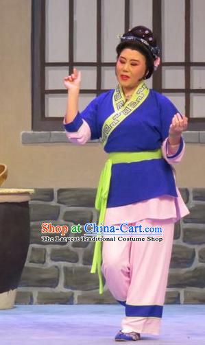 Chinese Ping Opera Country Woman Apparels Costumes and Headpieces Legend of Love Traditional Pingju Opera Diva Dress Garment