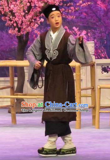 Peach Blossom Temple Chinese Ping Opera Taoist Nun Costumes and Headwear Pingju Opera Young Male Zhang Cai Apparels Clothing