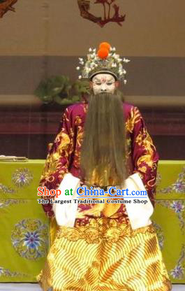 Li Xianglian Selling Paintings Chinese Ping Opera Laosheng Costumes and Headwear Pingju Opera Elderly Male Prime Minister Wen Tong Apparels Clothing