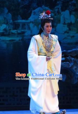 Baoyu and Daiyu Chinese Ping Opera Rich Childe Costumes and Headwear Pingju Opera Young Male Jia Baoyu Apparels Clothing