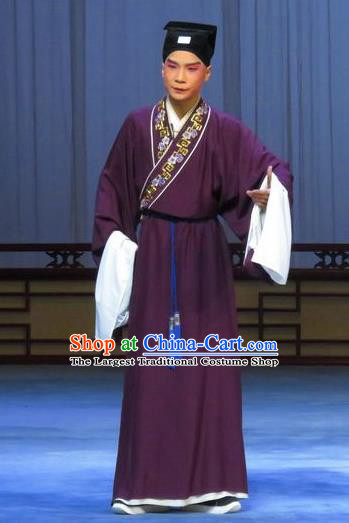 Chinese Ping Opera Niche Costumes and Headwear Pingju Opera Young Male Scholar Zhao Lianfang Apparels Clothing