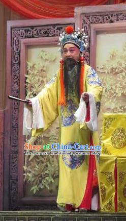 Yang Bajie You Chun Chinese Ping Opera Emperor Renzong Costumes and Headwear Pingju Opera Elderly Male Apparels Official Clothing