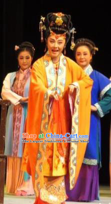 Chinese Ping Opera Young Mistress Wang Xifeng Apparels Costumes and Headpieces Baoyu and Daiyu Traditional Pingju Opera Diva Dress Garment