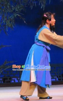 Baoyu and Daiyu Chinese Ping Opera Young Boy Costumes and Headwear Pingju Opera Servant Apparels Clothing