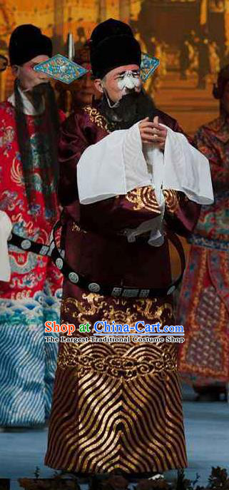 Ma Zhaoyi Chinese Ping Opera Official Costumes and Headwear Pingju Opera Laosheng Fei Wuji Apparels Clothing