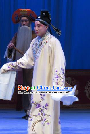 The Beautiful Courtesan Chinese Ping Opera Scholar Young Male Costumes and Headwear Pingju Opera Xiaosheng Li Jia Apparels Clothing