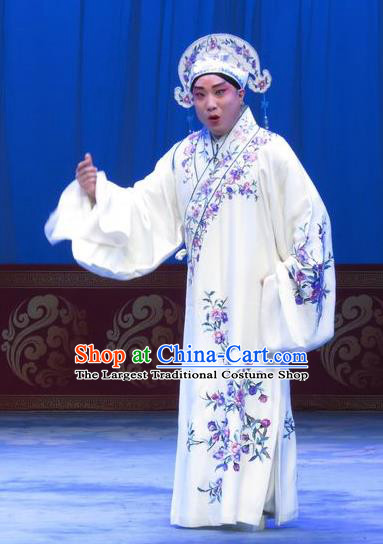 The Beautiful Courtesan Chinese Ping Opera Xiaosheng Costumes and Headwear Pingju Opera Young Male Apparels Scholar Li Jia Clothing