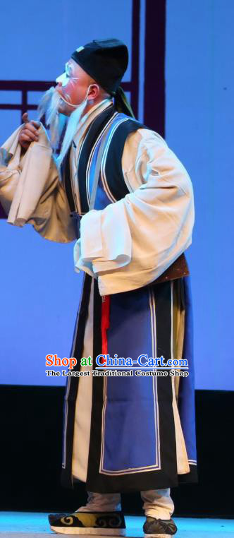 Chinese Yue Opera Chou Role Costumes and Headwear Shaoxing Opera Apparels A Tragic Marriage Elderly Male Clown Garment