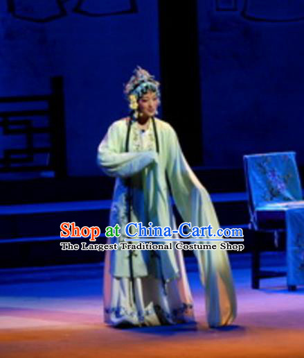 Chinese Shaoxing Opera Hua Dan Water Sleeve Dress Garment A Tragic Marriage Yue Opera Actress Costumes Wang Lianjuan Apparels and Hair Accessories