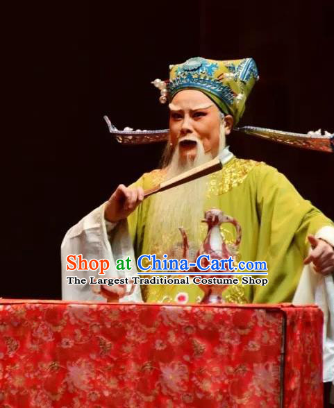 Chinese Yue Opera Elderly Male Minister Costumes and Hat Shaoxing Opera Yan Zhi Apparels Garment Official Shi Yushan Embroidered Robe Vestment