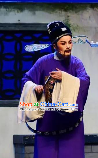 Chinese Yue Opera Country Magistrate Minister Costumes and Hat Shaoxing Opera Yan Zhi Apparels Garment Official Zhang Hong Elderly Male Vestment