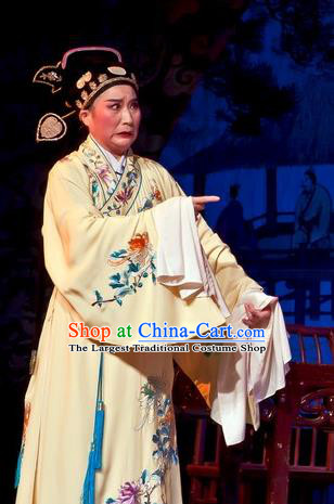 Chinese Yue Opera Calligrapher Zhu Zhishan Costumes Flirting Scholar Garment Shaoxing Opera Xiaosheng Young Male Robe Apparels and Hat