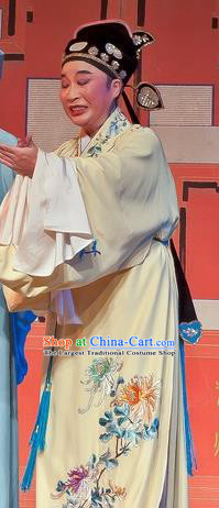 Chinese Yue Opera Calligrapher Zhu Zhishan Costumes Flirting Scholar Garment Shaoxing Opera Xiaosheng Young Male Robe Apparels and Hat