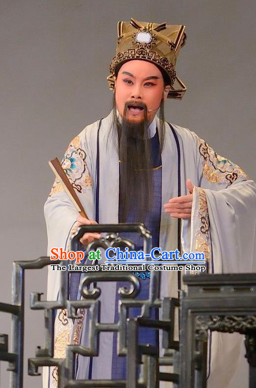 Chinese Yue Opera Ministry Councillor Lu You And Tang Wan Costumes and Hat Shaoxing Opera Apparels Landlord Elderly Male Garment