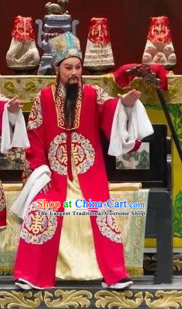 Chinese Yue Opera Assistant Minister Wu Nv Bai Shou Elderly Male Costumes and Headwear Shaoxing Opera Landlord Yang Jikang Apparels Garment