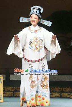 Chinese Yue Opera Niche Wu Nv Bai Shou Young Male Costumes and Hat Shaoxing Opera Apparels Zou Yinglong Embroidered Robe Vestment Garment